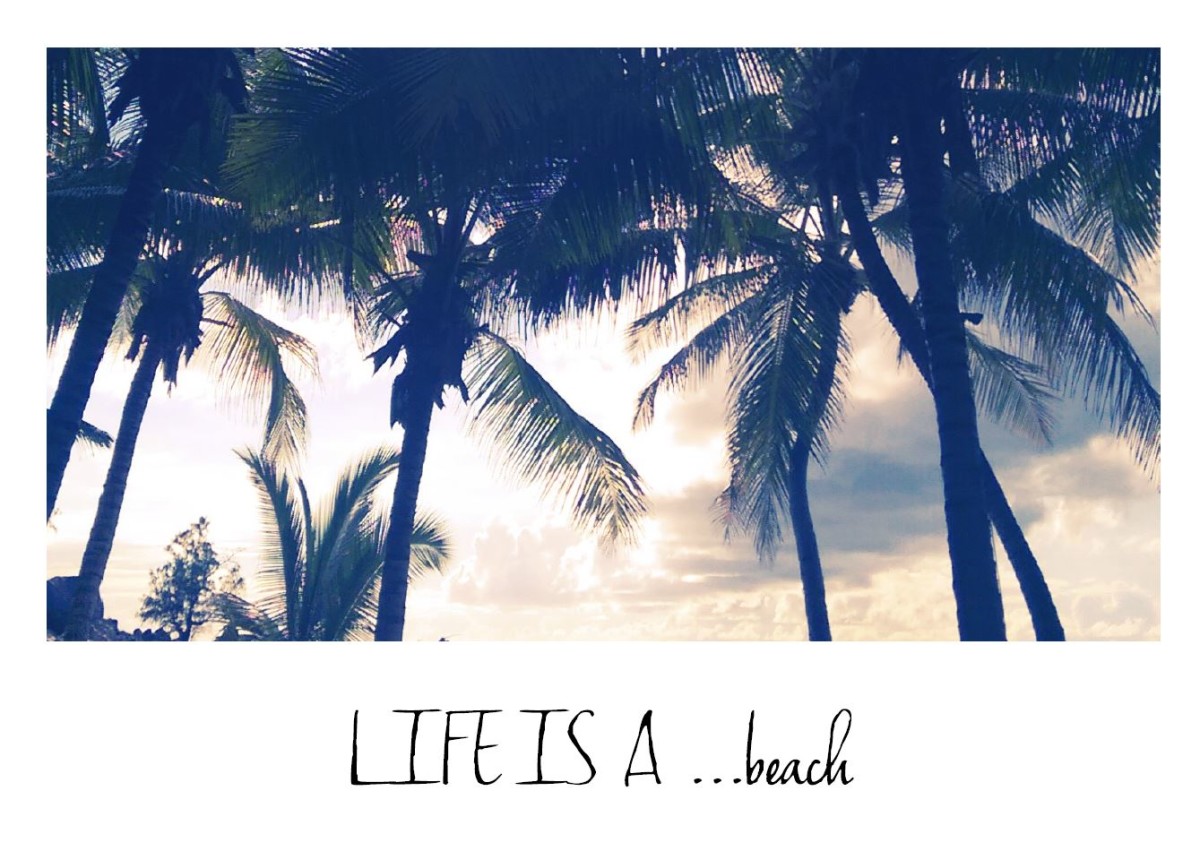 Life is a… beach